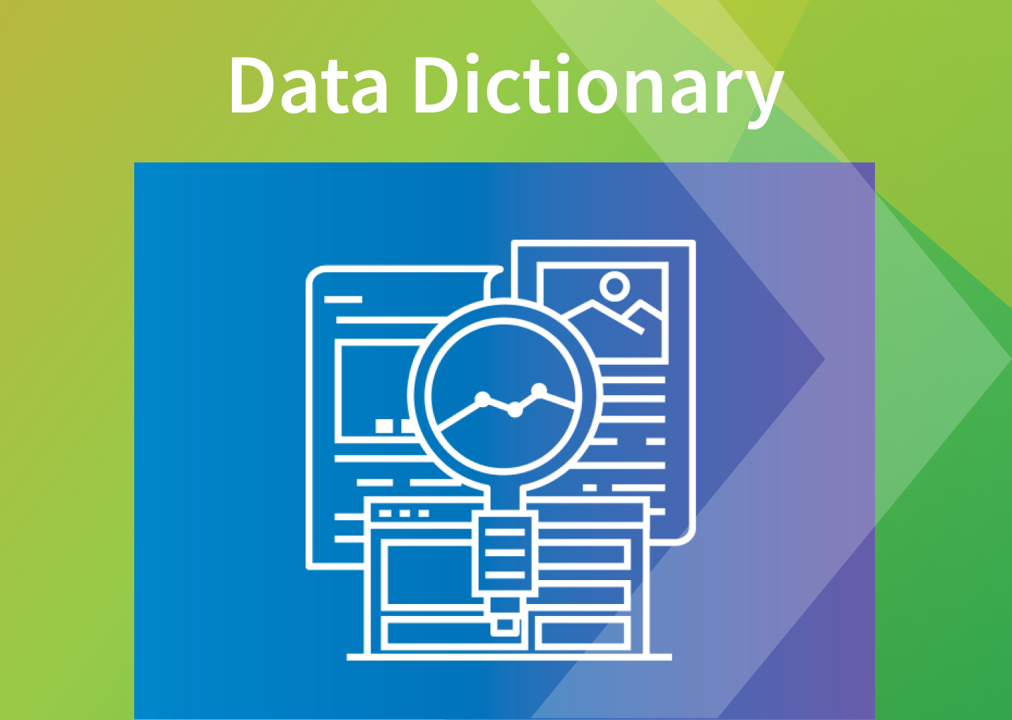 Data Dictionary